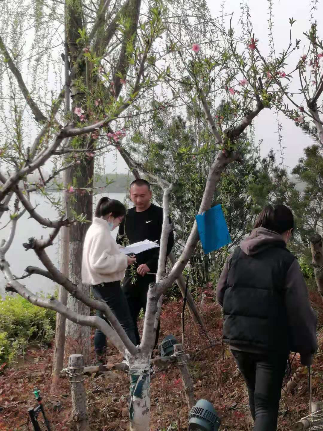 1617783341578935.jpg 1617783341578935.jpg